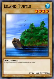 Island Turtle