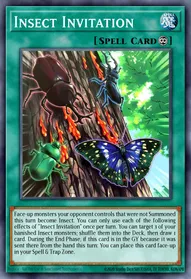 Insect Invitation