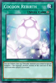 Cocoon Rebirth