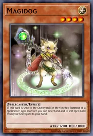 Magidog