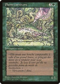 Carnivorous Plant (French) - "Plante carnivore"