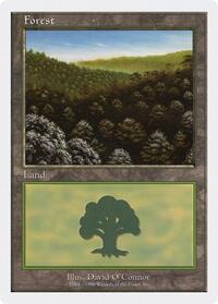 Forest (101)