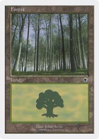 Forest (104)