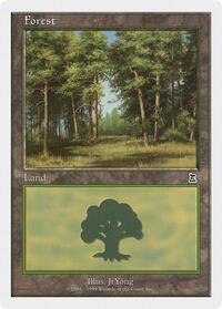 Forest (107)