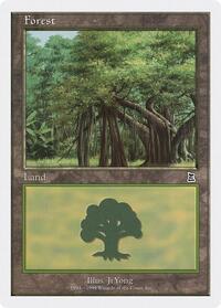 Forest (108)