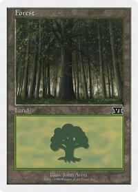 Forest (105)